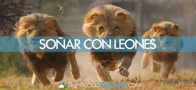 Soñar Con Leones Que Te Quieren Comer